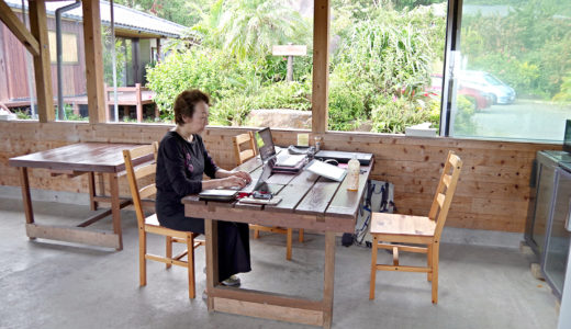 【前編】やってみた！屋久島ワーケーションでわかったこと（行程や体感したこと）