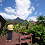 【後編】やってみた！屋久島ワーケーションでわかったこと（宿や美味しかったもの）