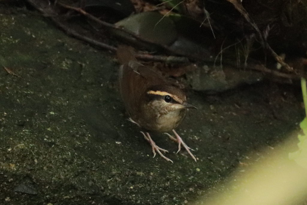 画像に alt 属性が指定されていません。ファイル名: 2020.9.18②-1-1024x683.jpg